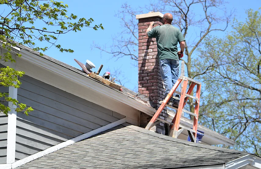 Chimney & Fireplace Inspections Services in North Chicago, IL